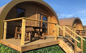 Eco-Friendly Cabins Cabin 1